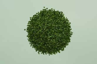 Chive