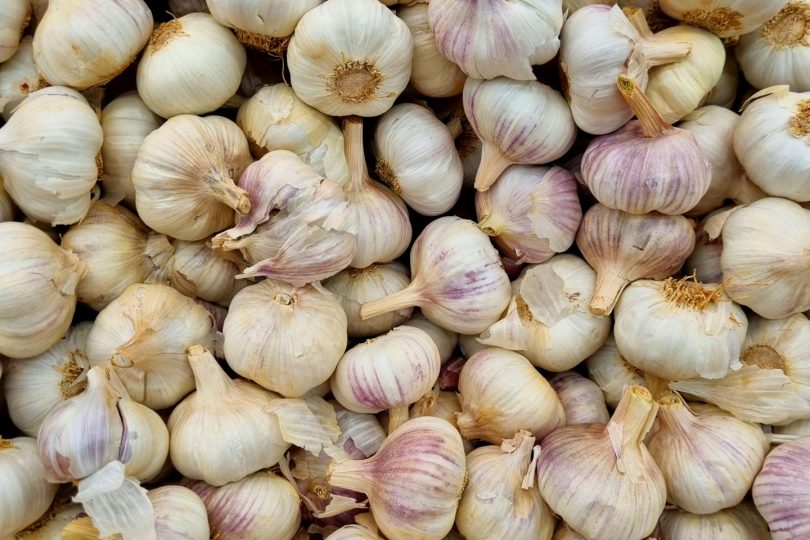 Celebrating National Garlic Day – 19th April