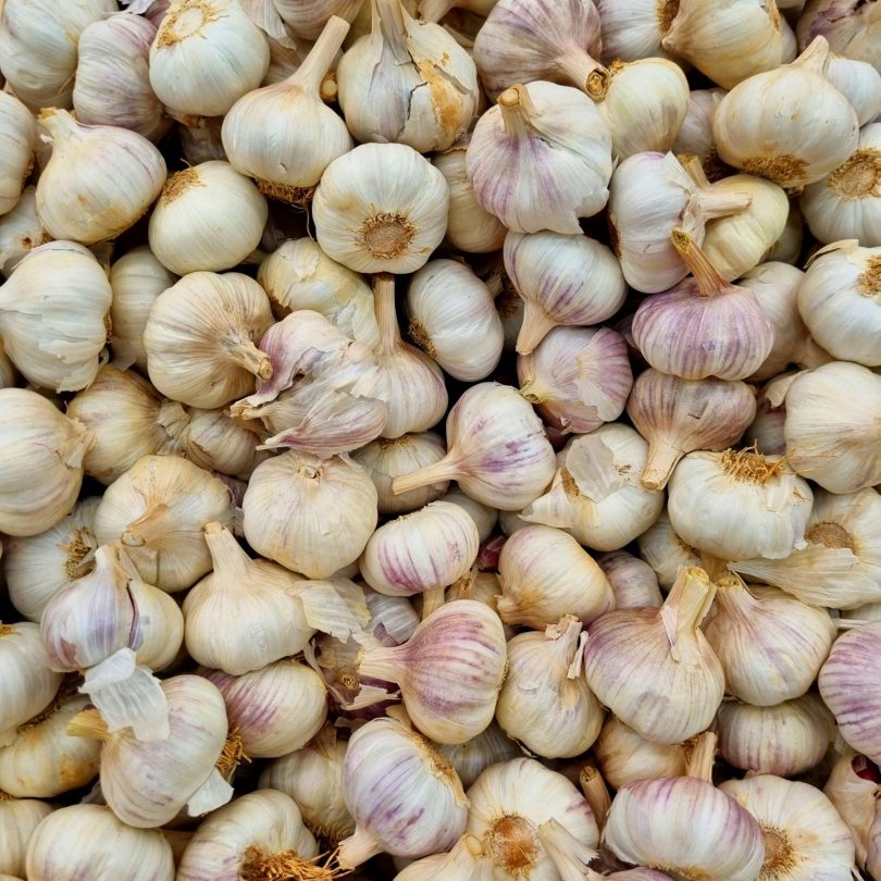 Celebrating National Garlic Day – 19th April