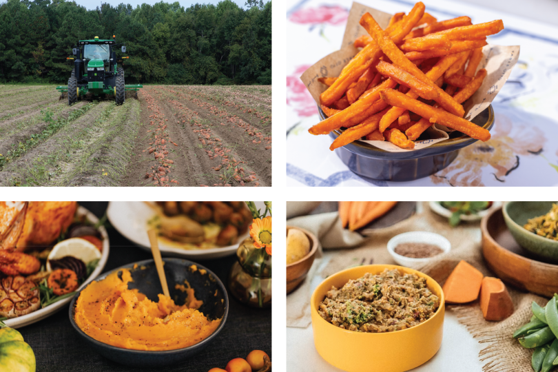 Ingredient Spotlight: Sweet Potato