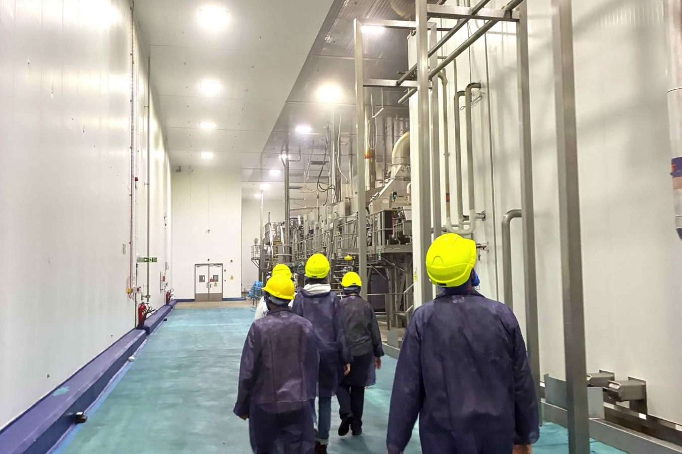 inside-potato-factory