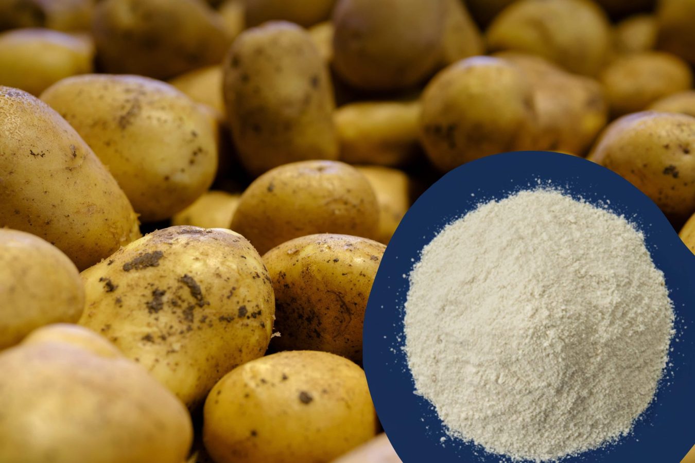 jlp-potato-flake comp