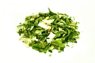 Leek